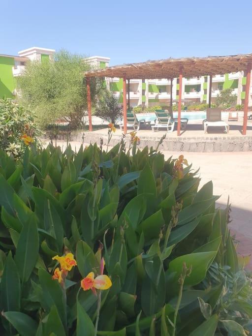 Holiday Properties Moradias Green Santa Maria Esterno foto