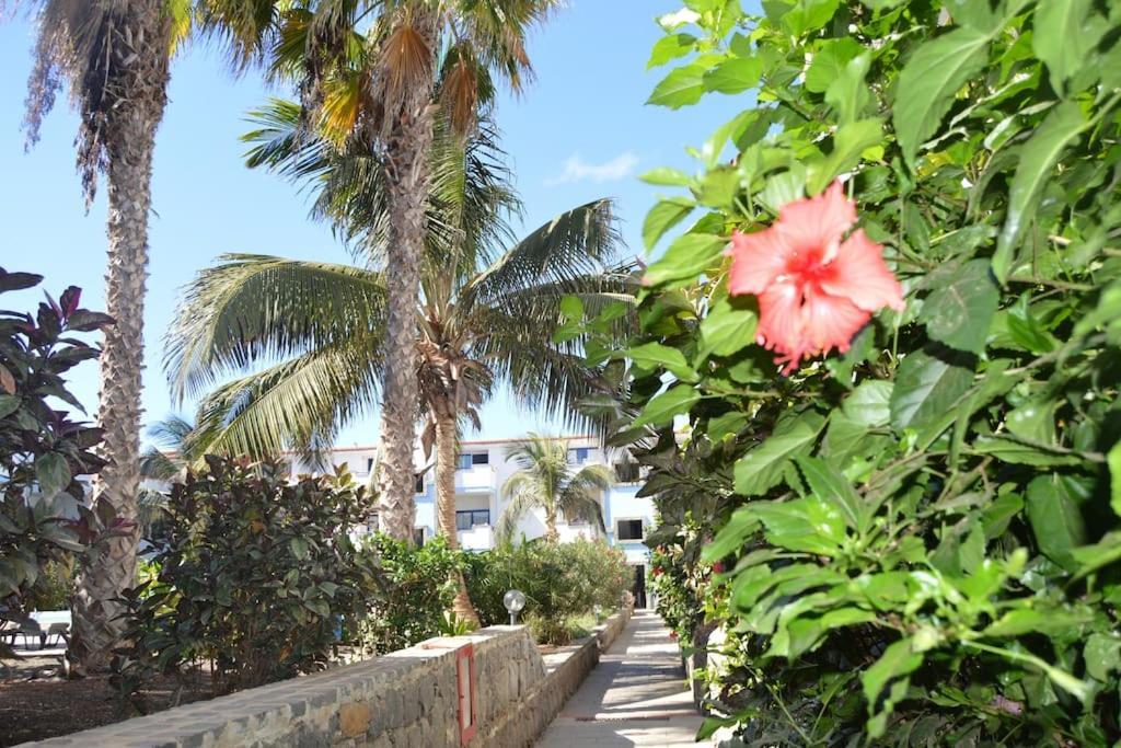 Holiday Properties Moradias Green Santa Maria Esterno foto