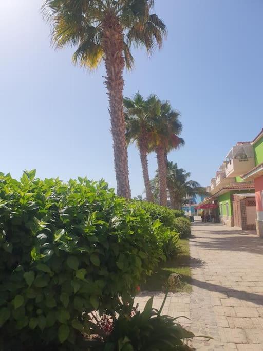 Holiday Properties Moradias Green Santa Maria Esterno foto